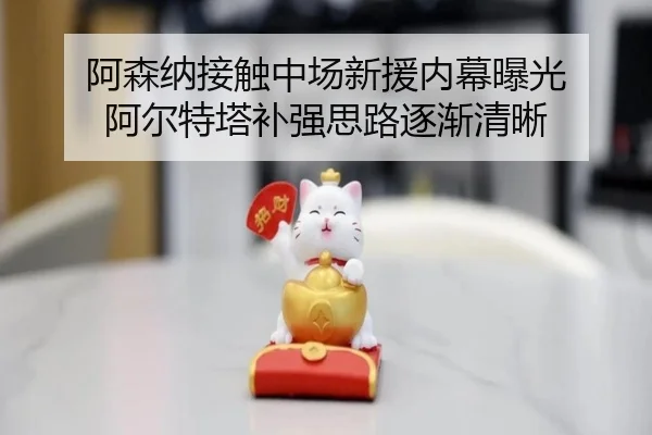阿森纳接触中场新援内幕曝光 阿尔特塔补强思路逐渐清晰